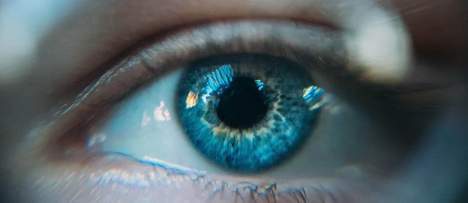 A closeup of an eye